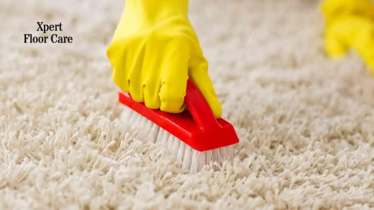 10 Steps On How To Clean Mouse Droppings From Carpet