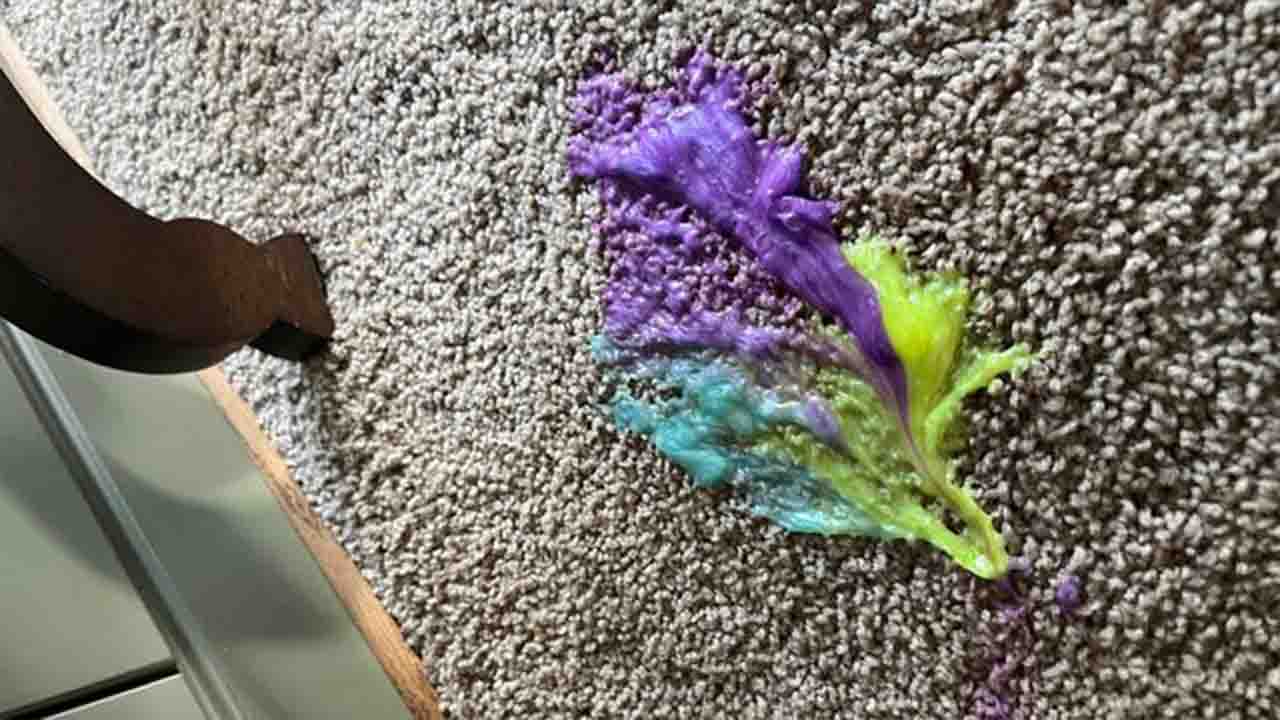 5 Ways To Remove How To Get Purple Shampoo Out Of Carpet5