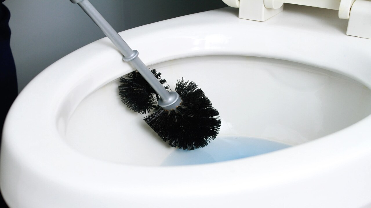 Alternative Cleaning Methods For Toilet Brushes