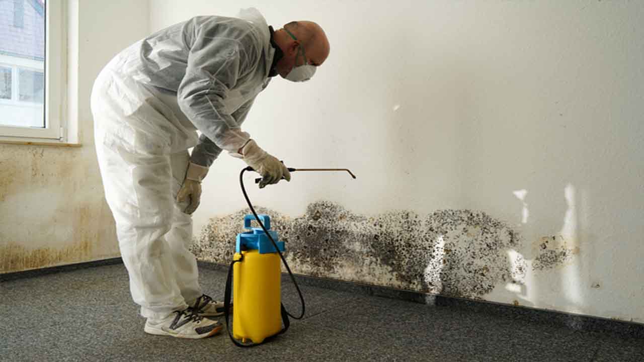 Be Careful Of Hazards And Mold