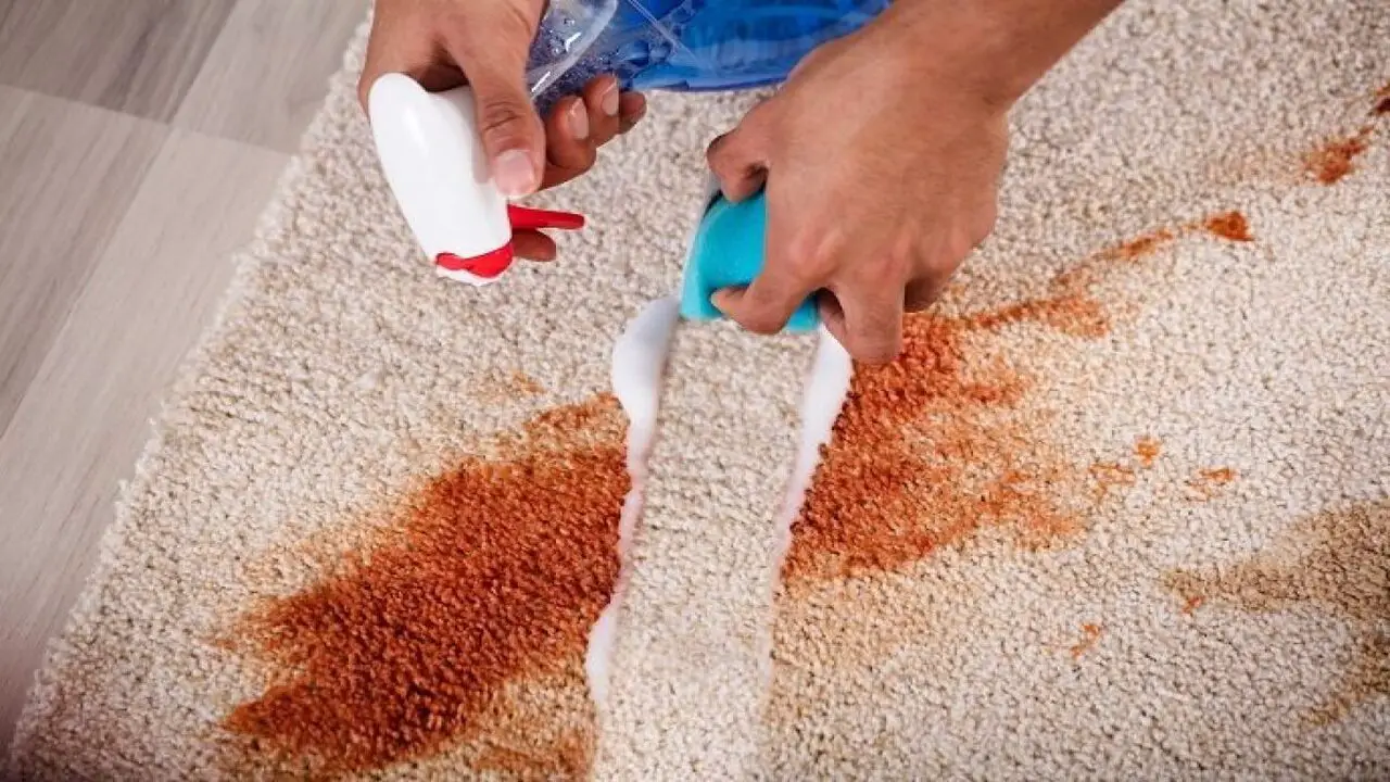 Can Peanut Butter Stains Permanently Damage Carpets
