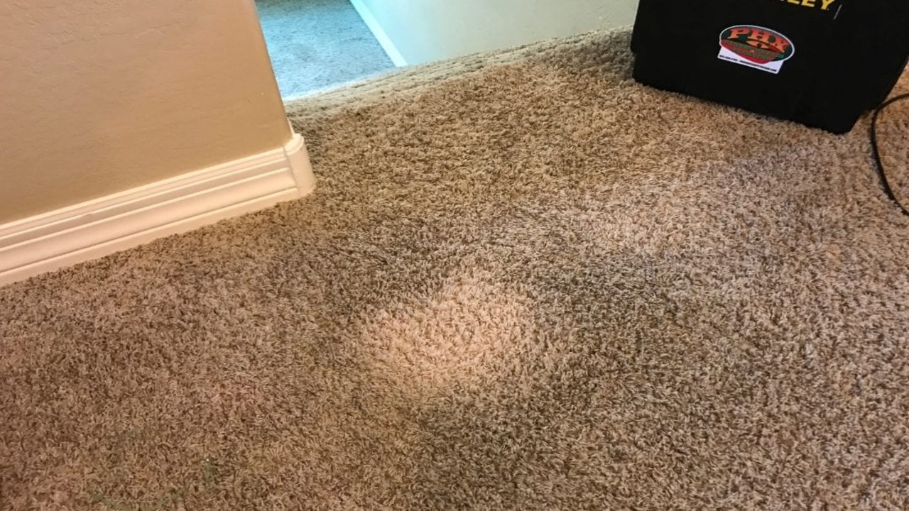 Can You Salvage A Carpet After A Bleach Stain