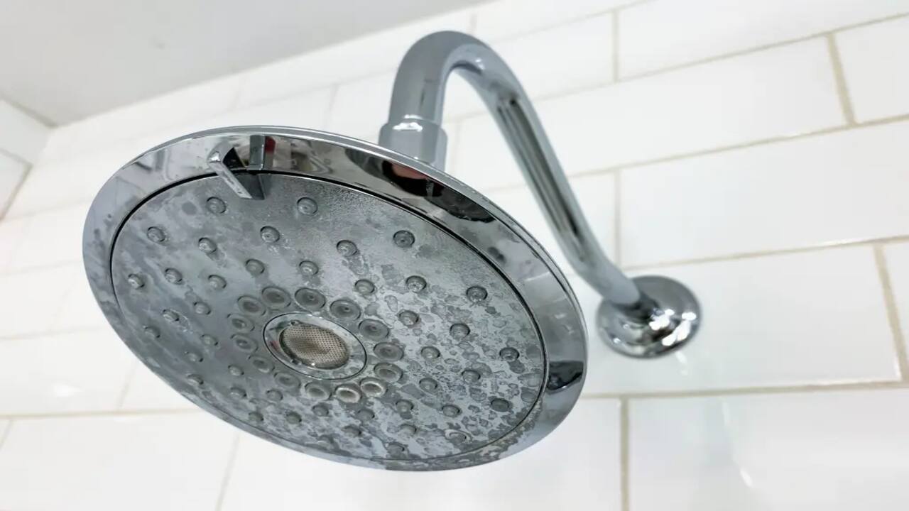Clean Showerhead With Vinegar