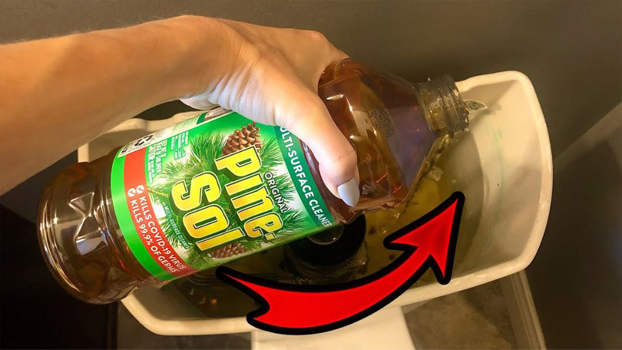 Clean Toilets With Pine-Sol