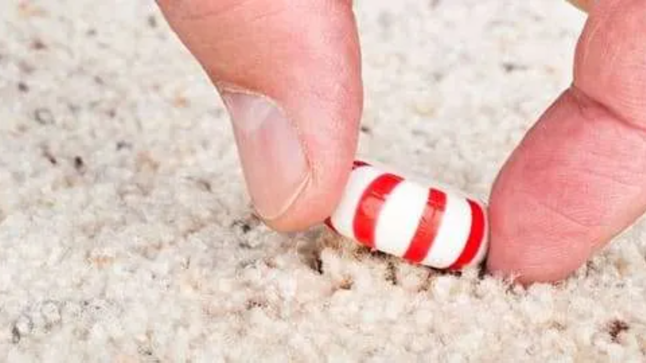 Common Mistakes Avoid When To Get Candy Out Of Carpet