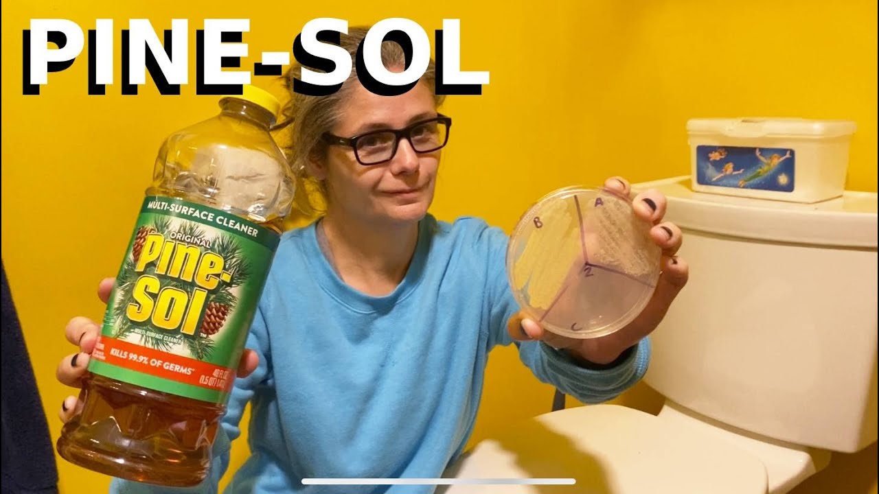 Disinfect Your Sink With Pine-Sol