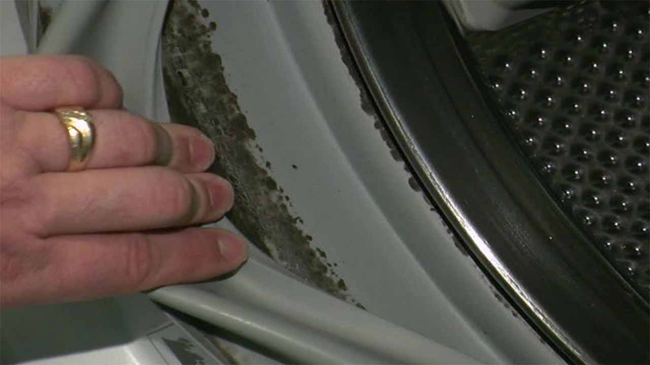 Getting Rid Of Black Mold In The Washing Machine