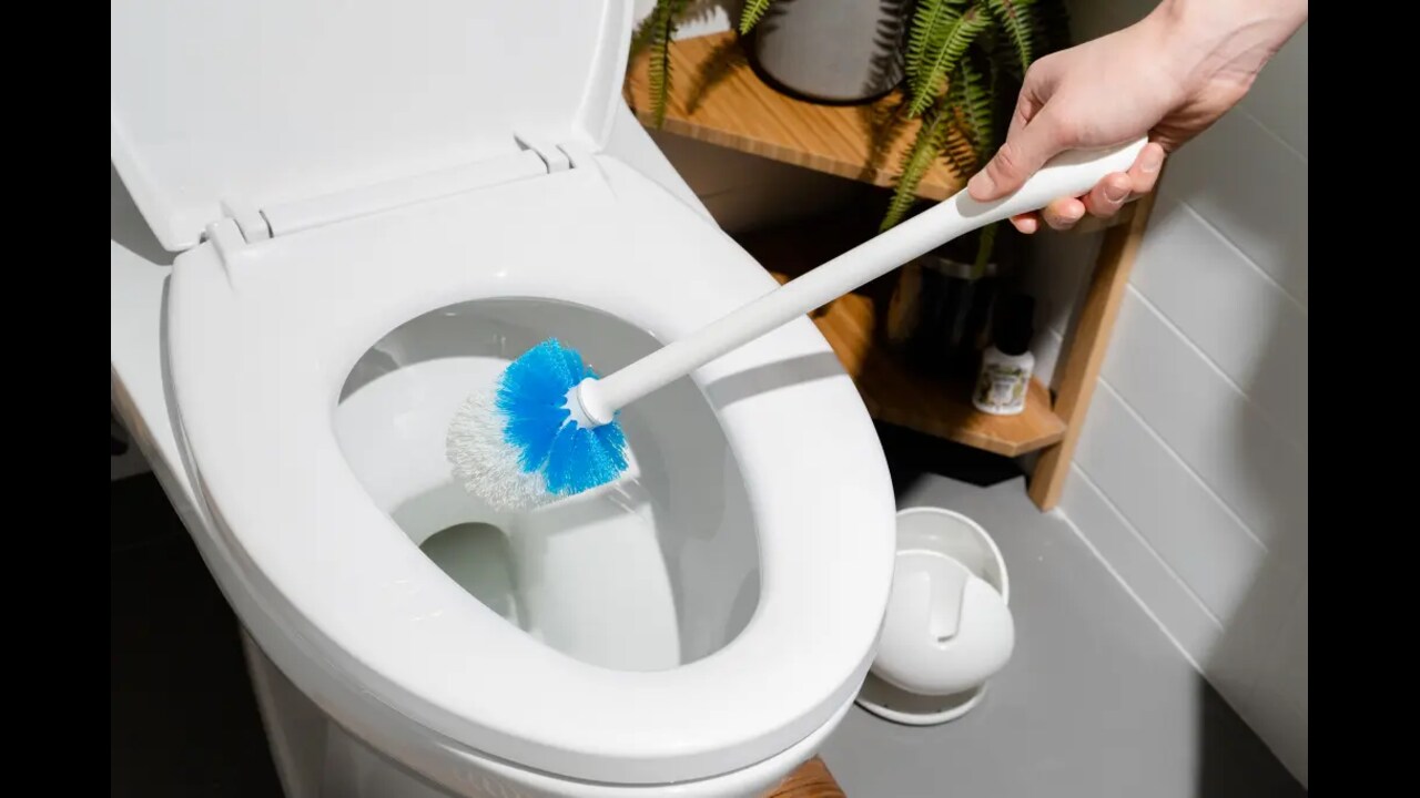 How To Clean A Toilet Brush - 5 Effective Methods