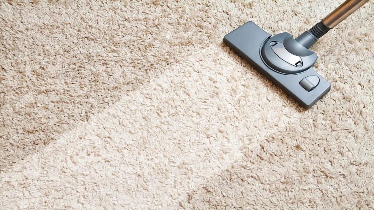 How To Dry Carpet Fast After Cleaning Step-By-Step Guide