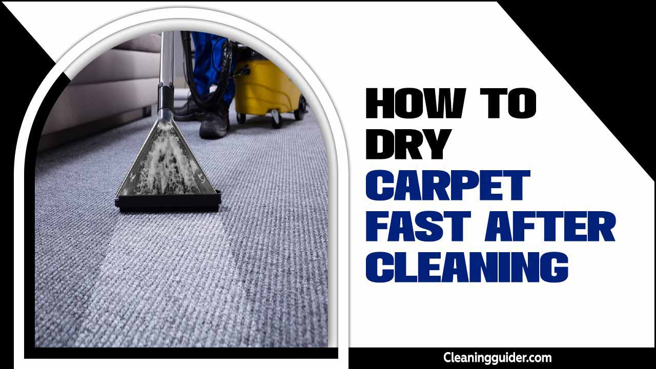 How To Dry Carpet Fast After Cleaning – A Complete Guide