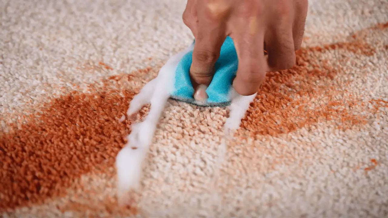 How To Get Blood Out Of Carpet Step-By-Step Guide