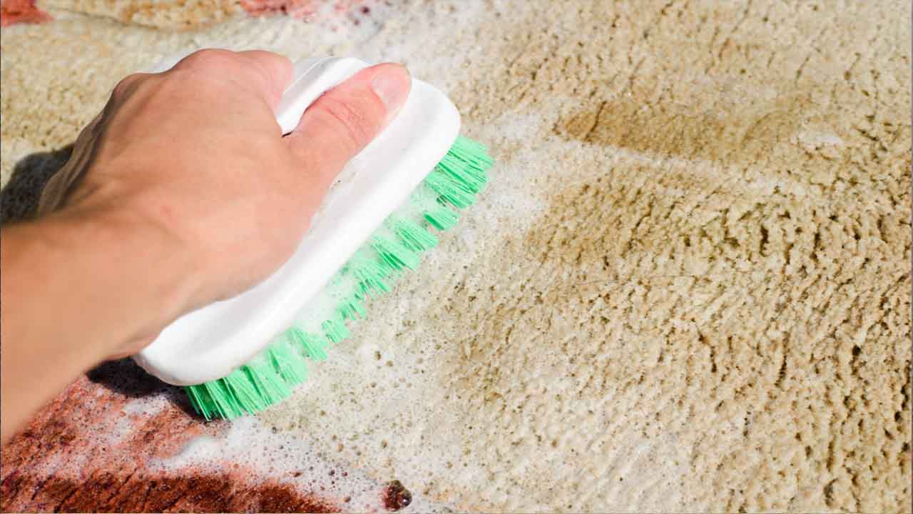 How To Get Mold Out Of Carpet In 7 Ways