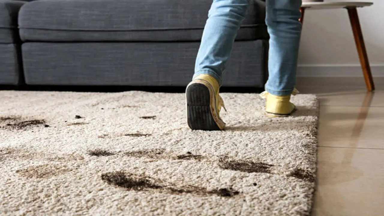 How To Get Mud Out Of Your Carpet 10 Cleaning Methods