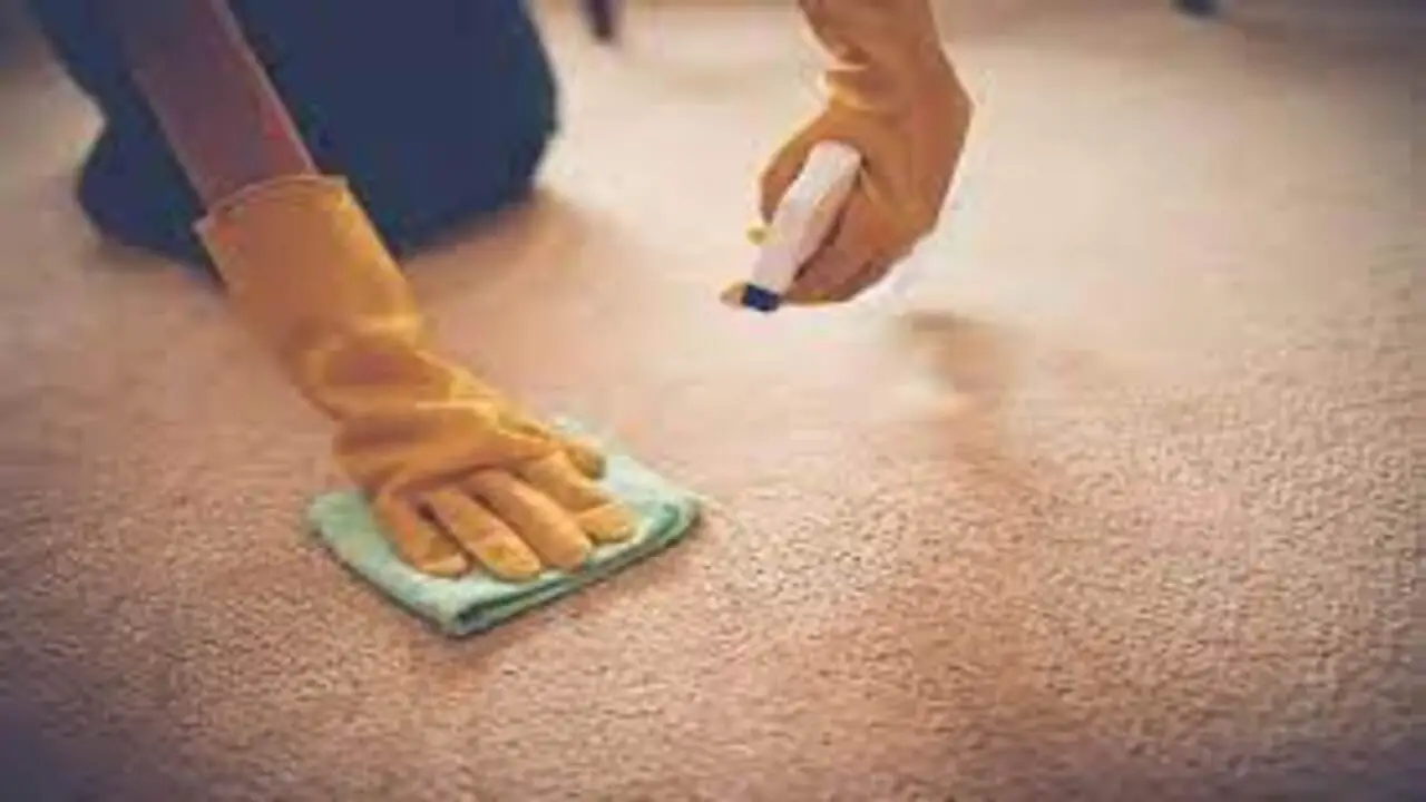 How To Get Peanut Butter Out Of Carpet Using Household Ingredients Step-By-Step Guide