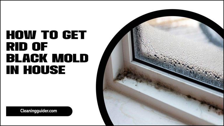 How To Get Rid Of Black Mold In House