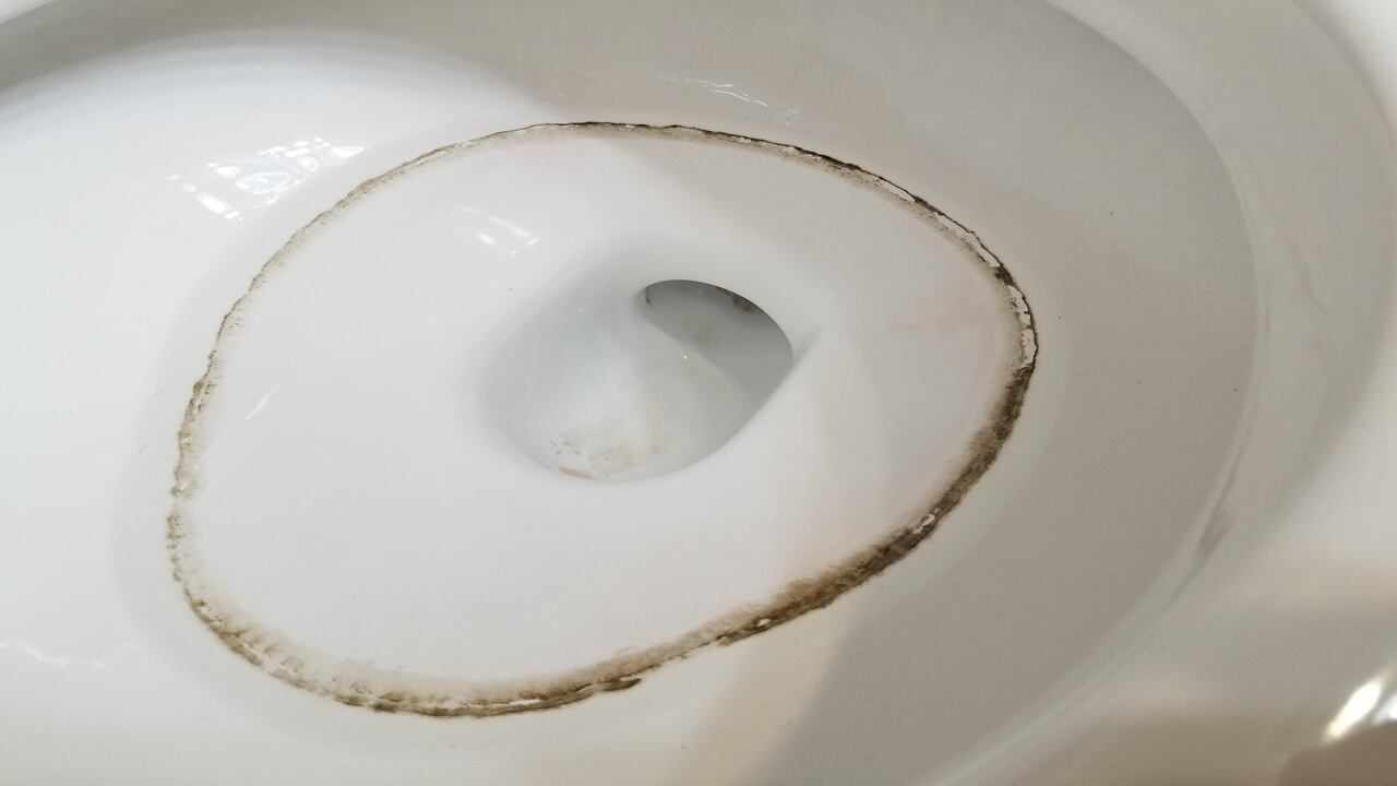 How To Get Rid Of Mold In Toilet - 4 Easy Ways