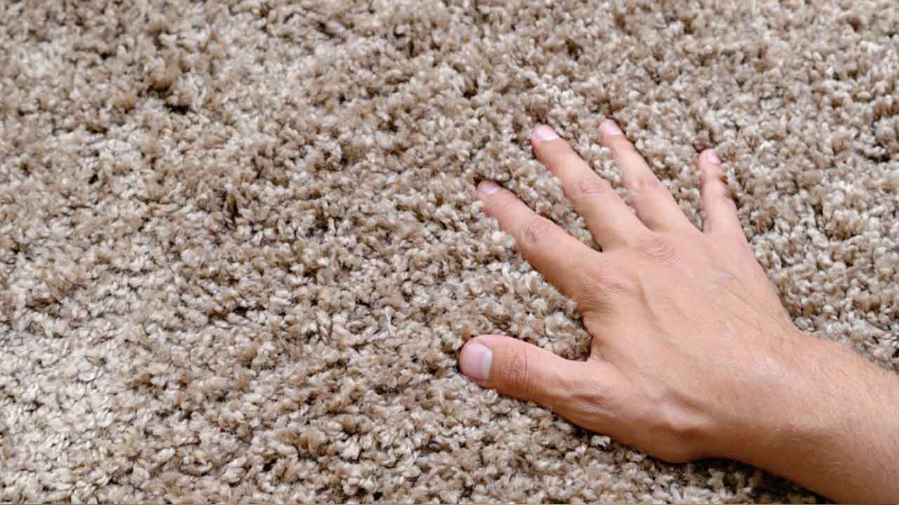 How To Make Carpet Look New And Fluffy Again In 6 Ways