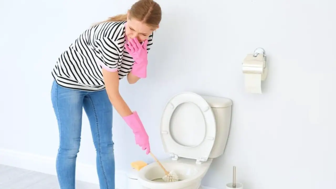 How To Remove Bathroom Smells Like Sewer After Shower 5 Steps