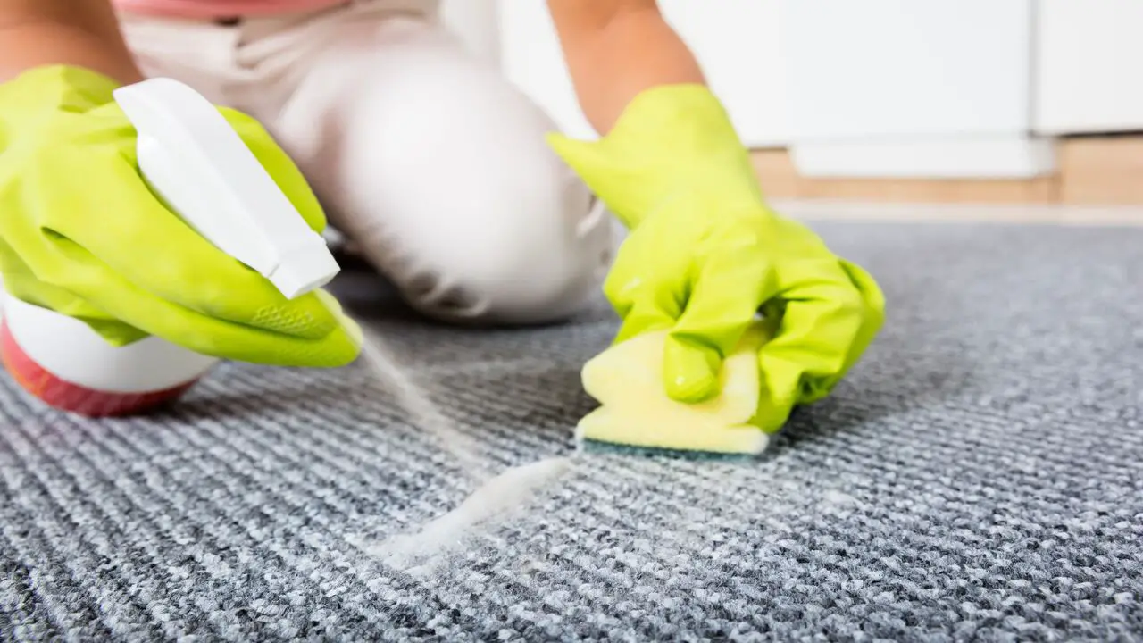 How To Remove Bleach Stains From Carpet Step-By-Step Guide