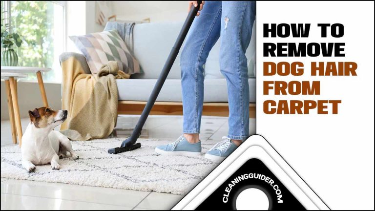 How To Remove Dog Hair From Carpet