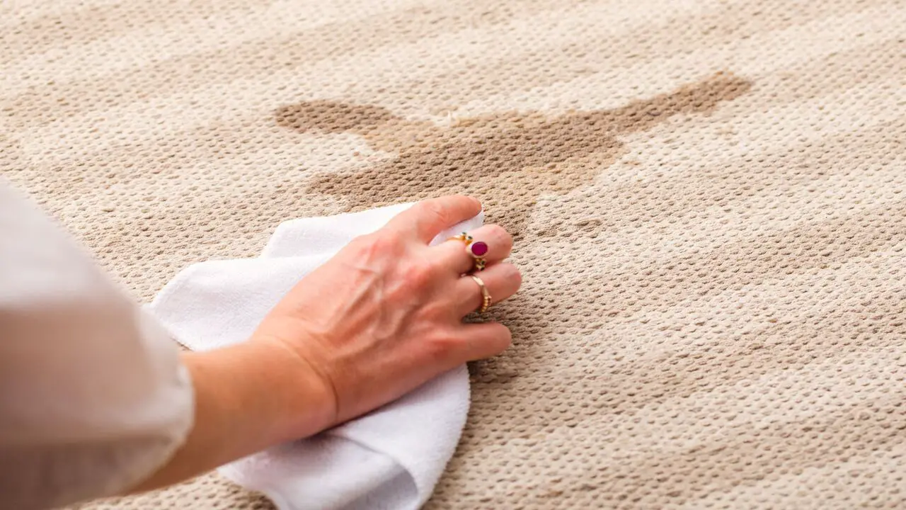 How To Remove Stains In Carpet That Keep Coming Back 11 Effective Ways