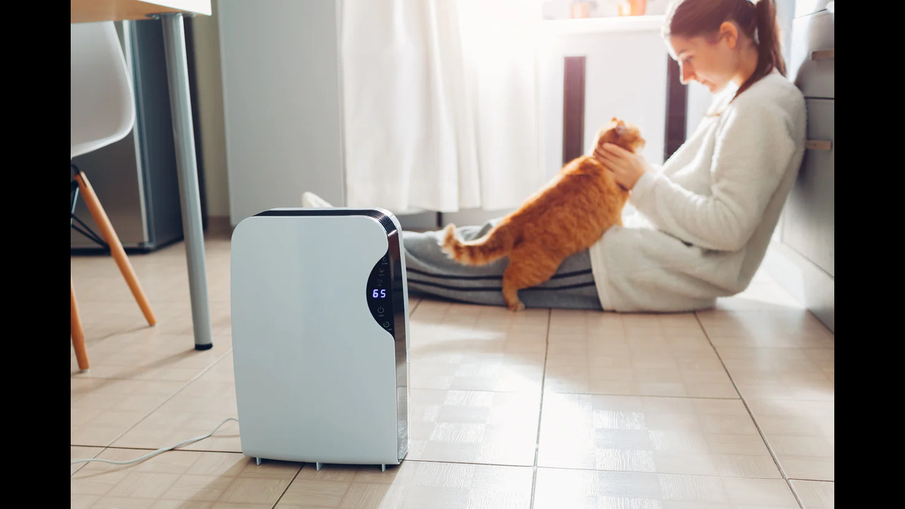 How To Use Air Purifiers For Smell Removal