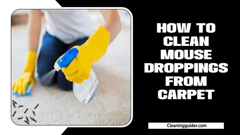 How To Clean Mouse Droppings From Carpet