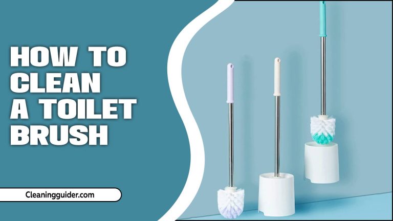 How to Clean a Toilet Brush