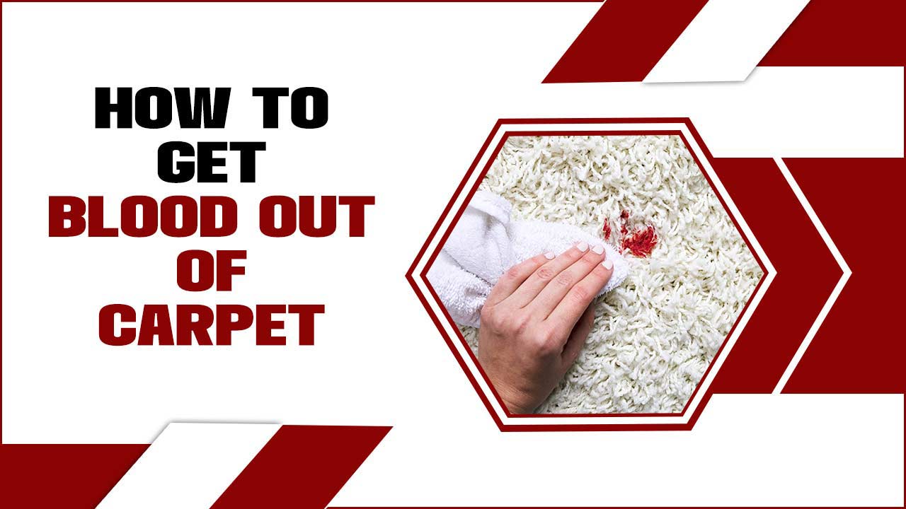 How To Get Blood Out Of Carpet: Step-By-Step