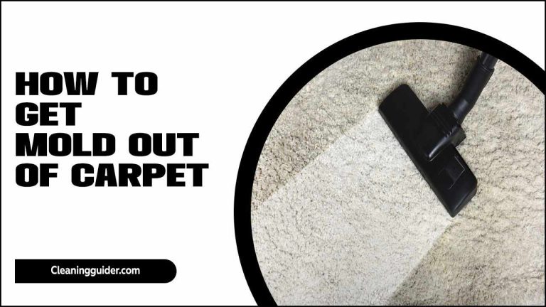 How To Get Mold Out Of Carpet