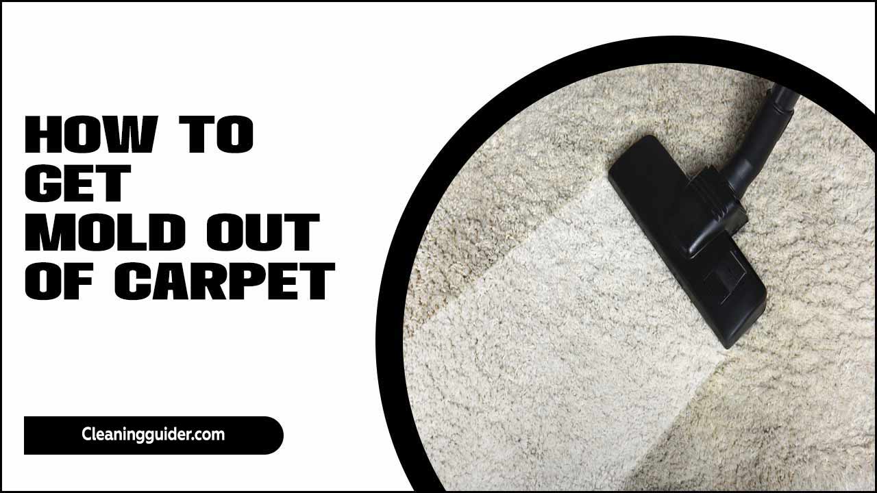 How To Get Mold Out Of Carpet: A Complete Guide