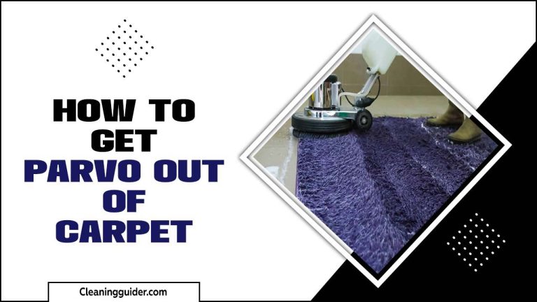 How To Get Parvo Out Of Carpet