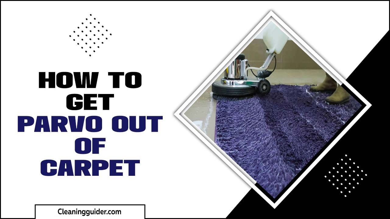 How To Get Parvo Out Of Carpet: Effective Methods