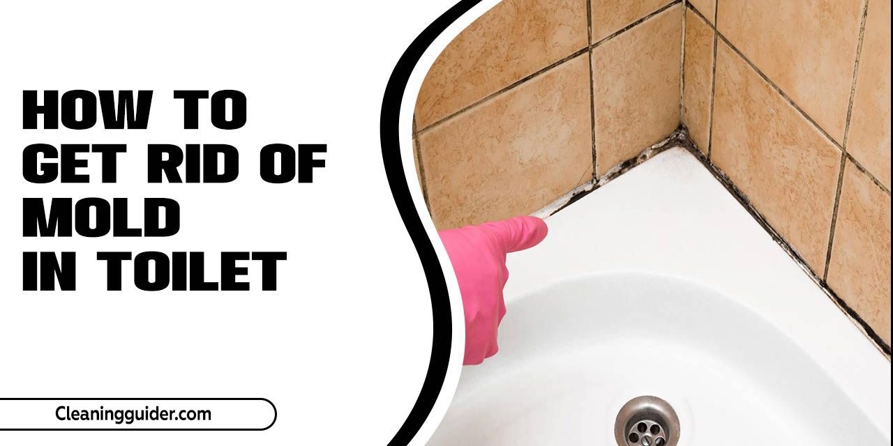 How To Get Rid Of Mold In Toilet – A Quick Guide