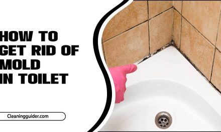 How To Get Rid Of Mold In Toilet – A Quick Guide