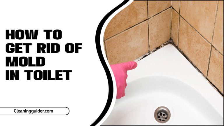 How To Get Rid Of Mold In Toilet