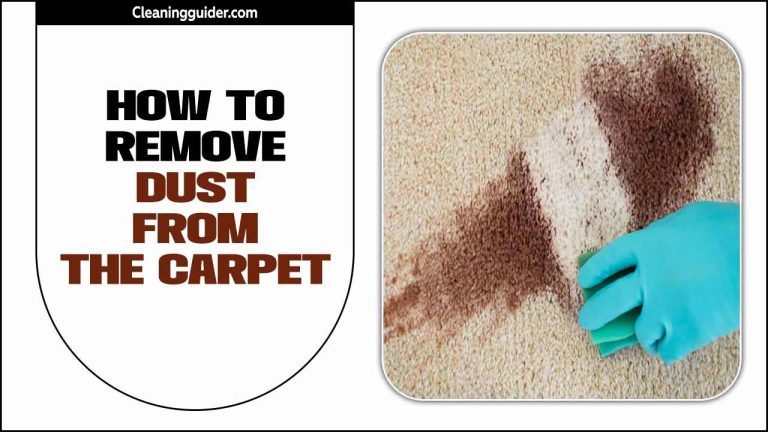 How To Remove Dust From The Carpet