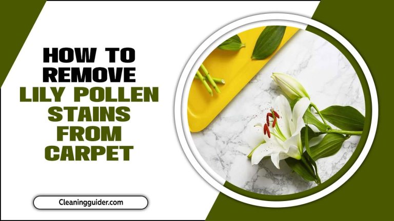 How To Remove Lily Pollen Stains From Carpet