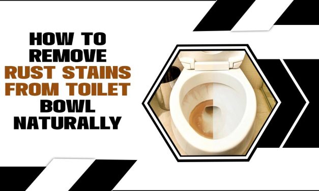 How To Remove Rust Stains From Toilet Bowl Naturally – Comprehensive Guide