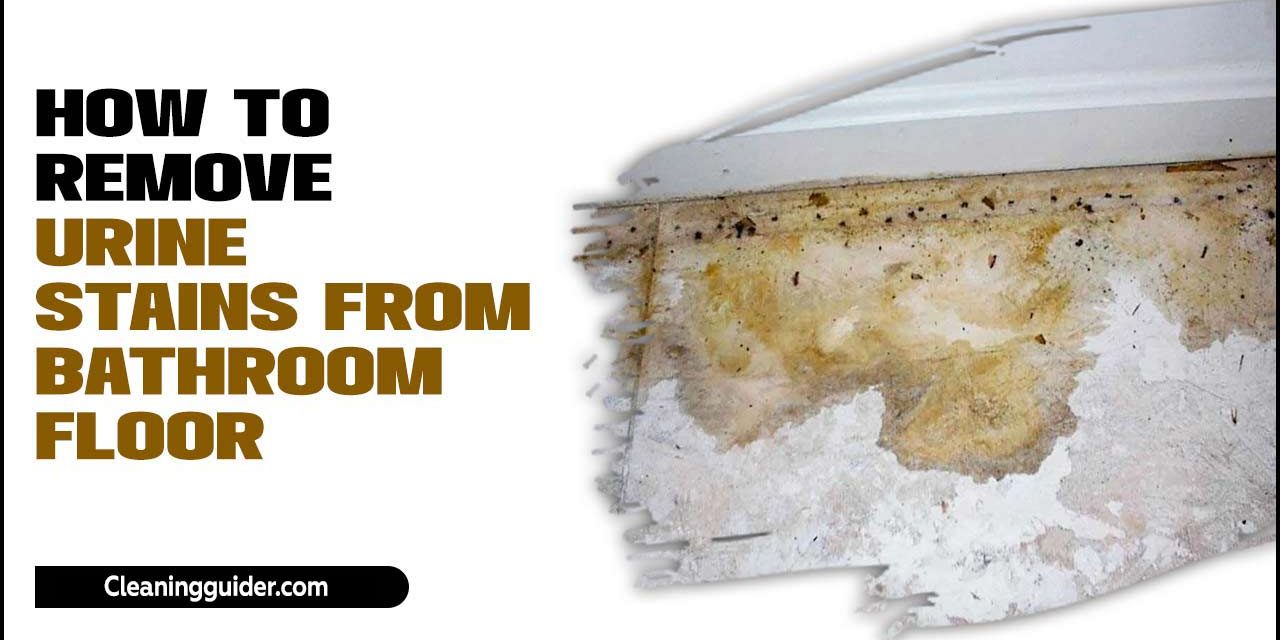 How To Remove Urine Stains From Bathroom Floor – Comprehensive Guide