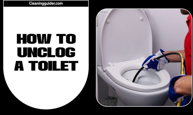 How To Unclog A Toilet – Comprehensive Guide