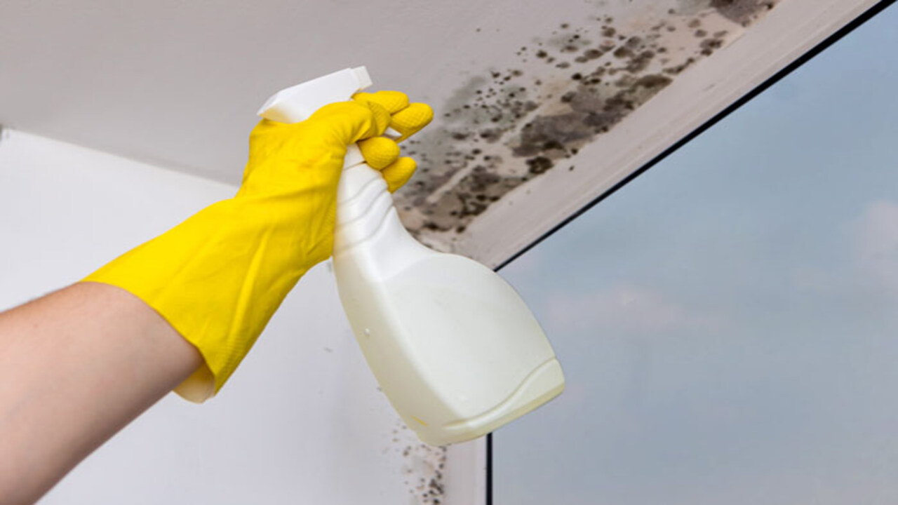 Non-Toxic Mold Cleaners