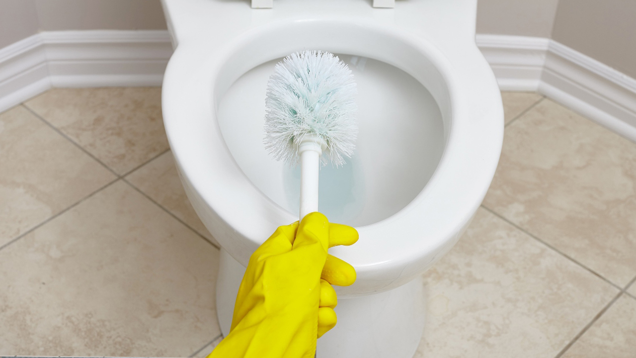 Professional Cleaning Options For Stubborn Toilet Bowl Rings