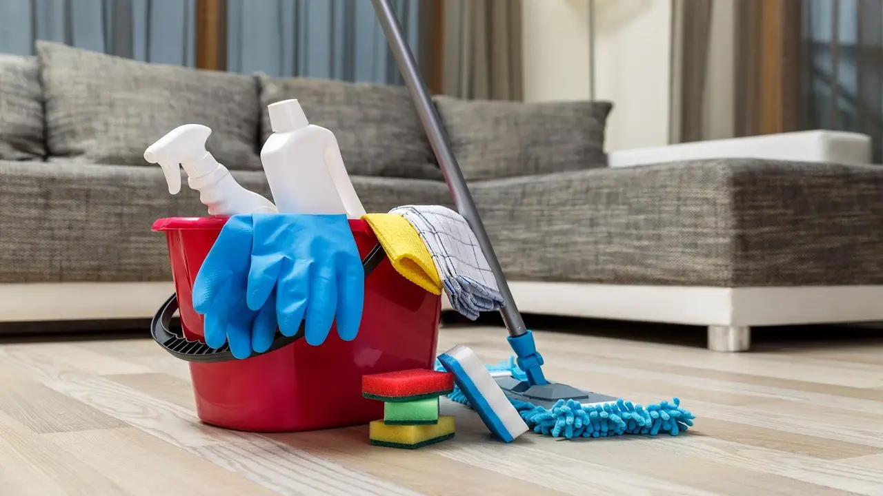 Professional Cleaning