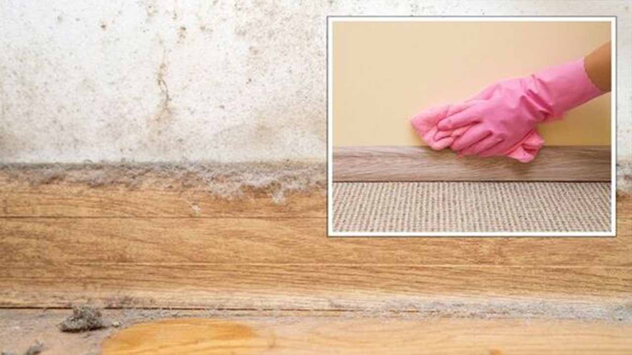 Proper Techniques For Cleaning Skirting Boards