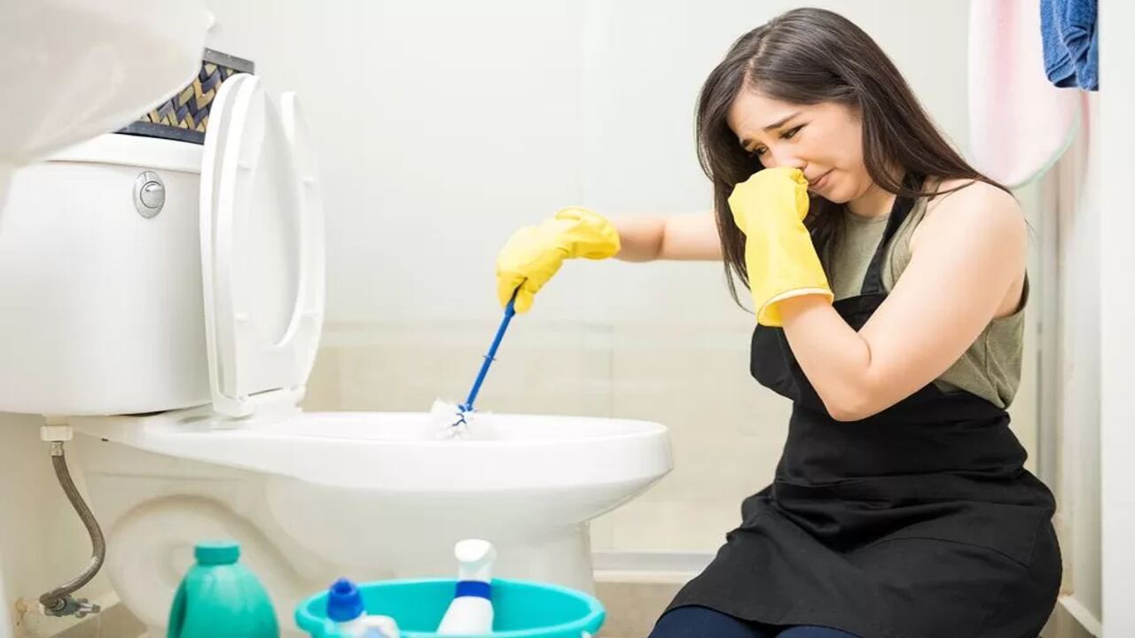Recommended Products To Remove Bathroom Smells Like Sewer