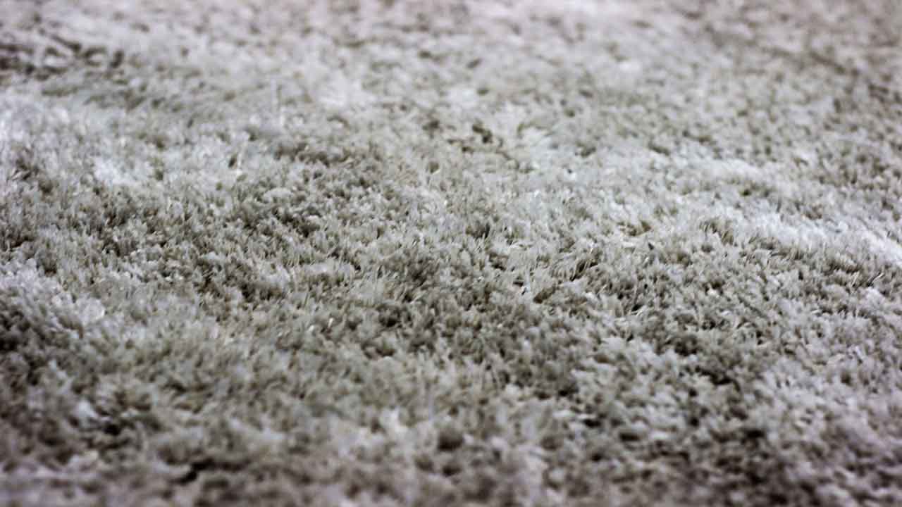 Safety Precautions Before Removing Mold From Carpets