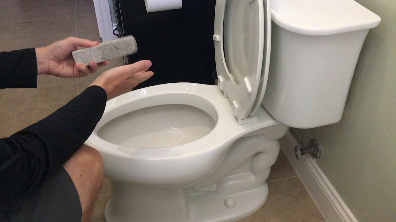Scrub The Toilet Bowl 
