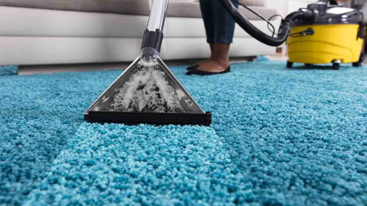 Seeking Professional Carpet Cleaning Services