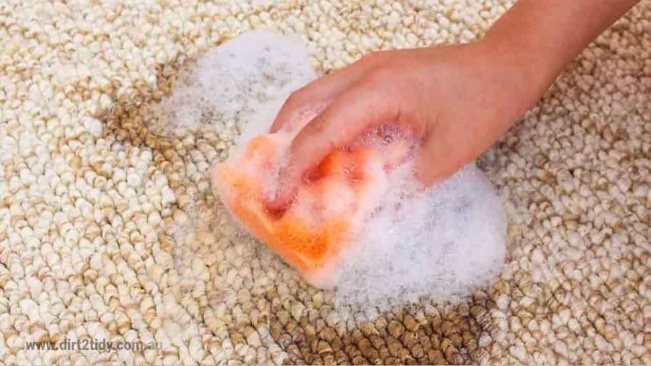 Step-By-Step Guide On How To Carpet Cleaning With Baking Soda And Vinegar